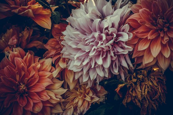 Achat de photobooth : Comment reconnaître un produit de qualité ?