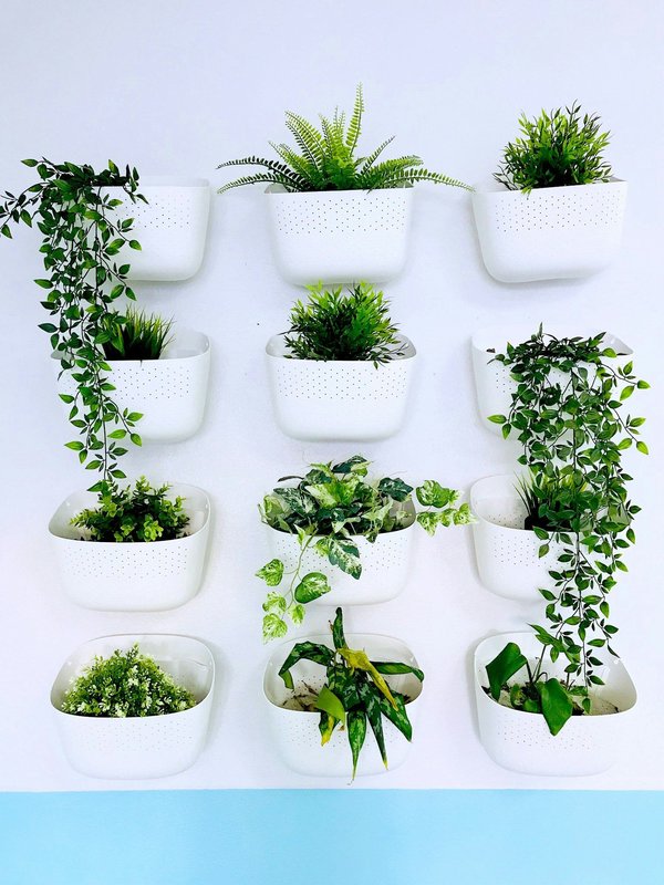 Jardinière en fibre de verre : un choix moderne et polyvalent