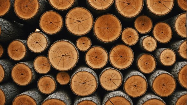 Bois de chauffage : optez pour la qualité premium de brazeco